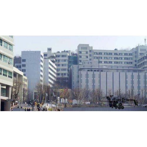 韓國藝術(shù)綜合大學
