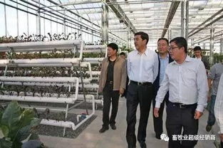 畜牧業(yè)超級(jí)經(jīng)銷(xiāo)商商學(xué)院第三期招生開(kāi)啟 賦能飼料銷(xiāo)售新未來(lái)