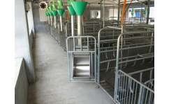 自動化料線規(guī)格與萬晟畜牧設(shè)備售后保證的全面解析