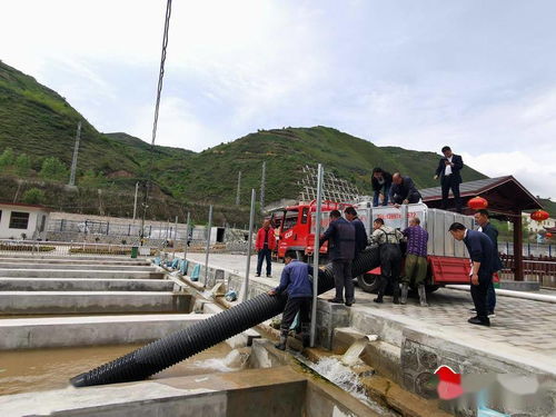 市漁業(yè)站引進(jìn)新品種傳授新技術(shù)，助推畜牧漁業(yè)飼料銷(xiāo)售新格局